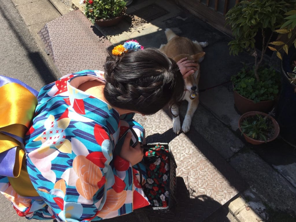 みーさんのアイルランド留学『思う存分勉強したい』体験談(25週間) みーさんのアイルランド留学『思う存分勉強したい』体験談(25週間)